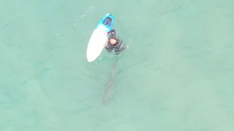 Surfař v průzračné vodě šlápl na žraloka, z videa mrazí